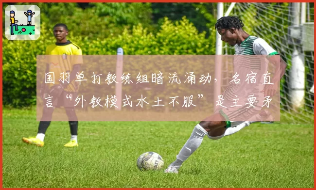 国羽单打教练组暗流涌动，名宿直言“外教模式水土不服”是主要矛盾