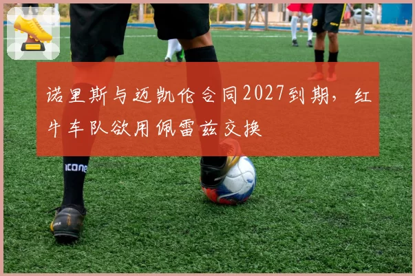 诺里斯与迈凯伦合同2027到期，红牛车队欲用佩雷兹交换