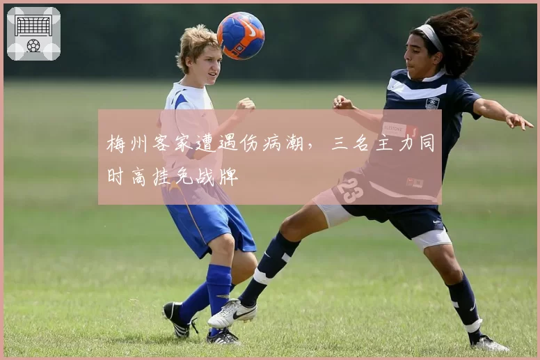 梅州客家遭遇伤病潮,三名主力同时高挂免战牌