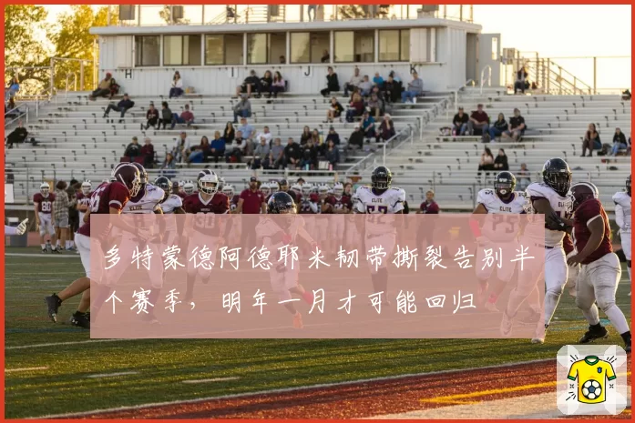 多特蒙德阿德耶米韧带撕裂告别半个赛季,明年一月才可能回归